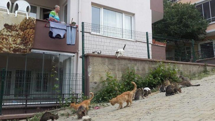 (özel) Mahalleyi Hayvanat Bahçesine, Evini Kliniğe Çevirdi G5