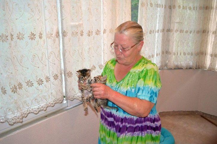 (özel) Mahalleyi Hayvanat Bahçesine, Evini Kliniğe Çevirdi G2