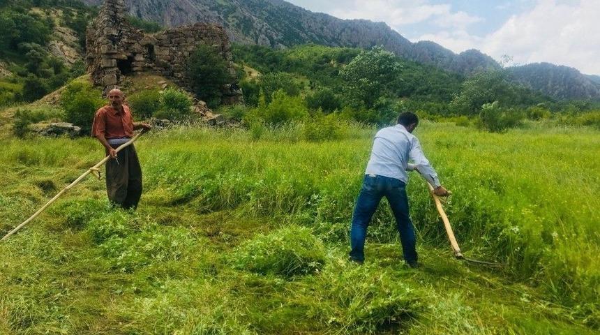 Ter&ouml;r Y&uuml;z&uuml;nden Ekilemeyen Araziler Yeşillendi