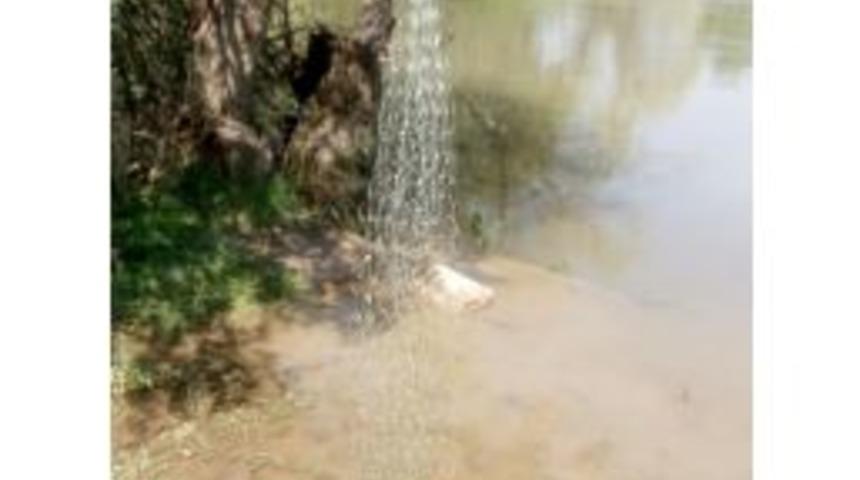 Osmaneli Jandarma Ekipleri Ka&ccedil;ak Avlananlara G&ouml;z A&ccedil;tırmıyor