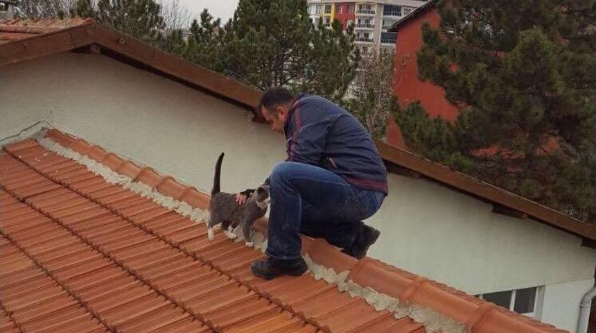 İtfaiyeden Kedi Kurtarma Operasyonu