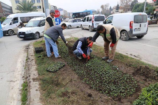 Hatay’da Çiçeklendirme Çalışmaları