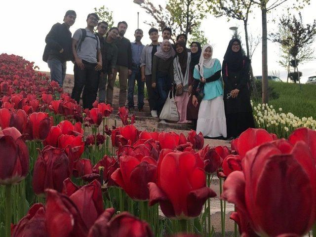 Tayland&rsquo;tan Lale G&ouml;rmek İ&ccedil;in Ankara&rsquo;ya Geldiler 1