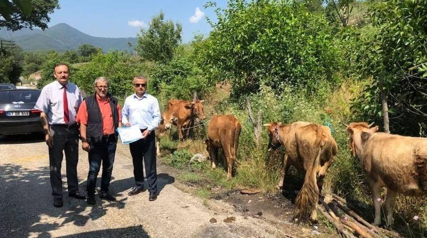 İşkur&rsquo; Dan Engellilere Hibe Desteği