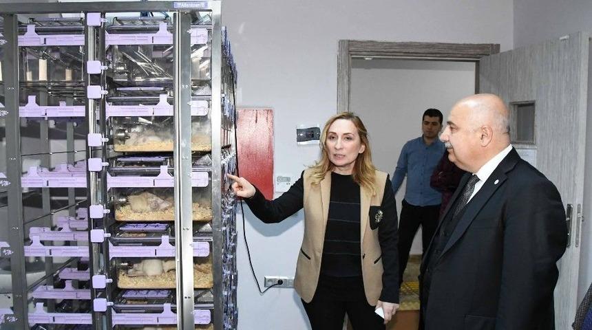 Rekt&ouml;r G&ouml;n&uuml;ll&uuml; Deham&rsquo;da İncelemelerde Bulundu