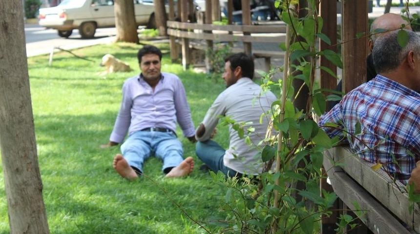 (&ouml;zel)-siverek&rsquo;te Termometreler 50 Dereceyi G&ouml;sterdi