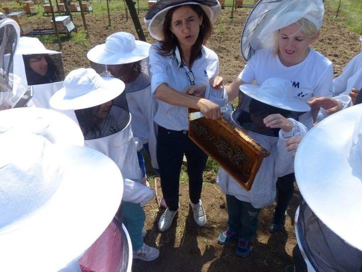 Çocuklara Arı Ve Arıcılık Anlatıldı G1