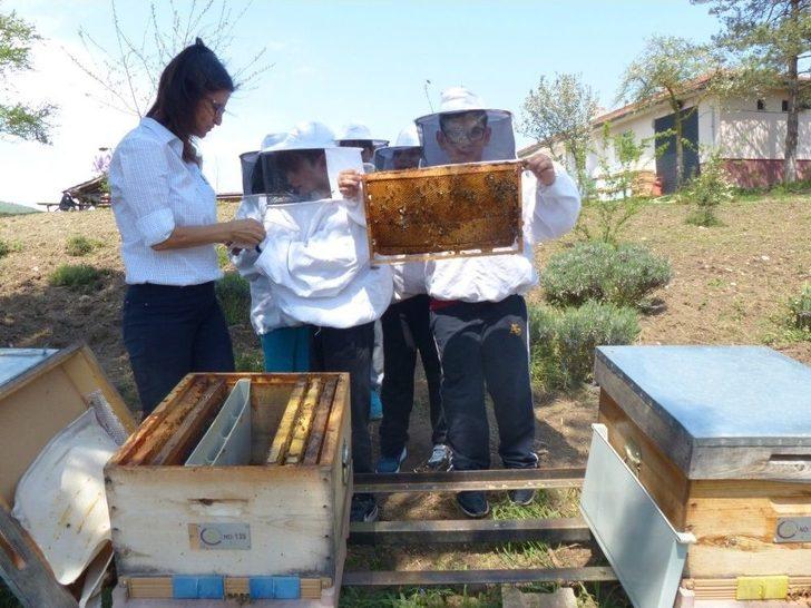 Çocuklara Arı Ve Arıcılık Anlatıldı G3