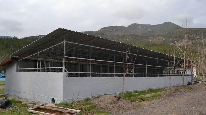 Hayvan Bakım Evi Ek İnşaatında Sona Gelindi