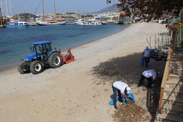Bodrum Sahilleri Yaza Hazırlanıyor 1