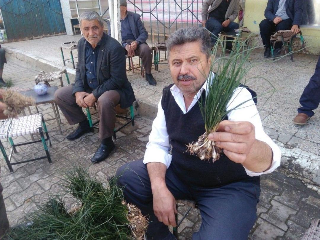 Bu Otun Kilogramı 350 Tl