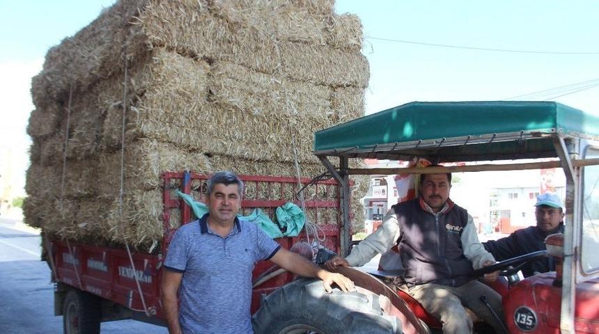 Yetiştiricinin İmdadına Mısır Samanı Yetişti