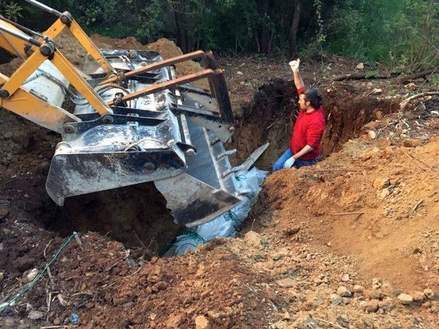 &Ouml;l&uuml; Akdeniz Foku Kıyıya Vurdu 1