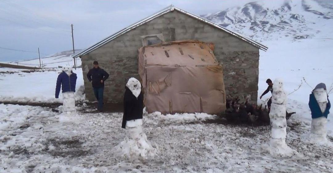 Hindileri Tilkilerden Korumak İ&ccedil;in Kardan Adamlar Yaptı