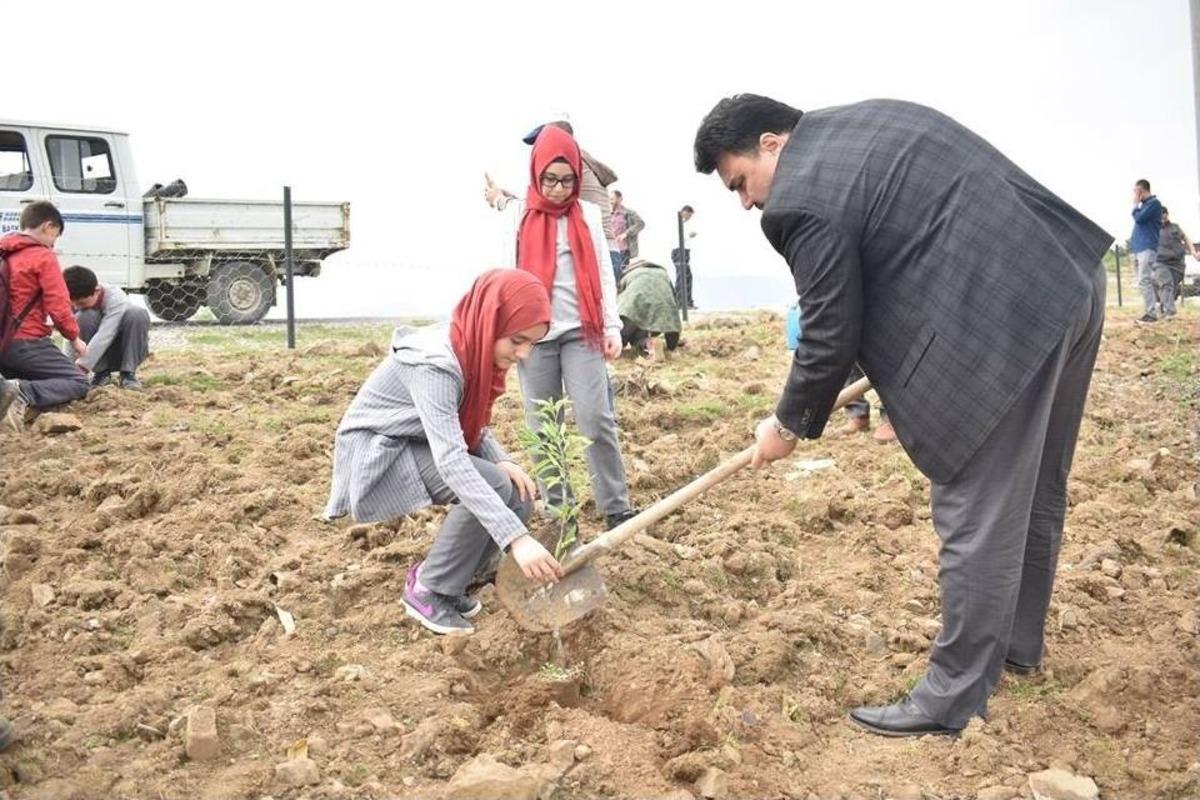 Kocaseyit&rsquo;te Fidanlar Toprakla Buluştu