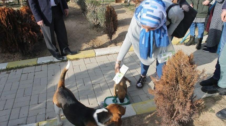 Karaman&rsquo;da Kyk&rsquo;lı &Ouml;ğrenciler Sınav Stresini Hayvan Barınağını Gezerek Attı