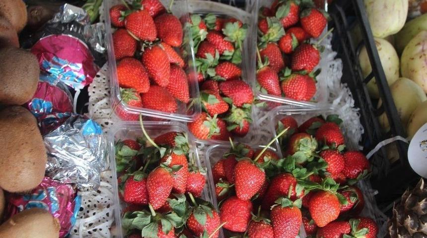 Anamur Çileği Kilosu 13 Liradan Satılıyor