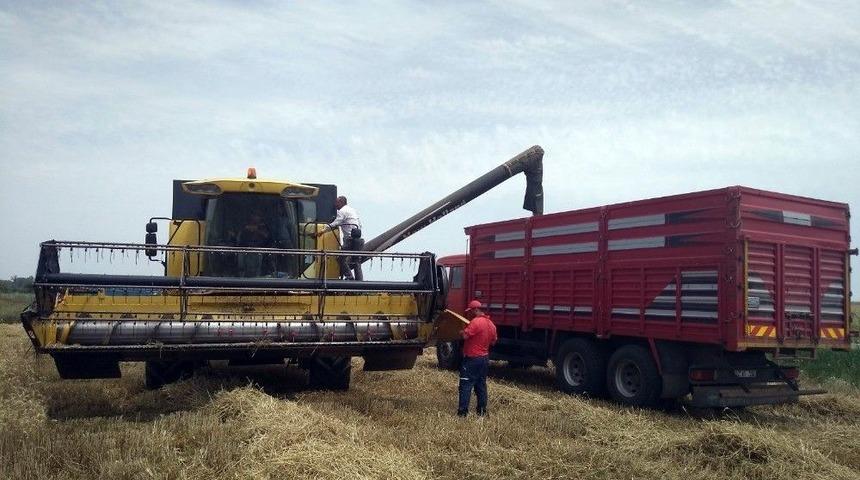 Edirne&rsquo;de Buğday Veriminde Ge&ccedil;en Yıla G&ouml;re Ciddi D&uuml;ş&uuml;ş Yaşanıyor