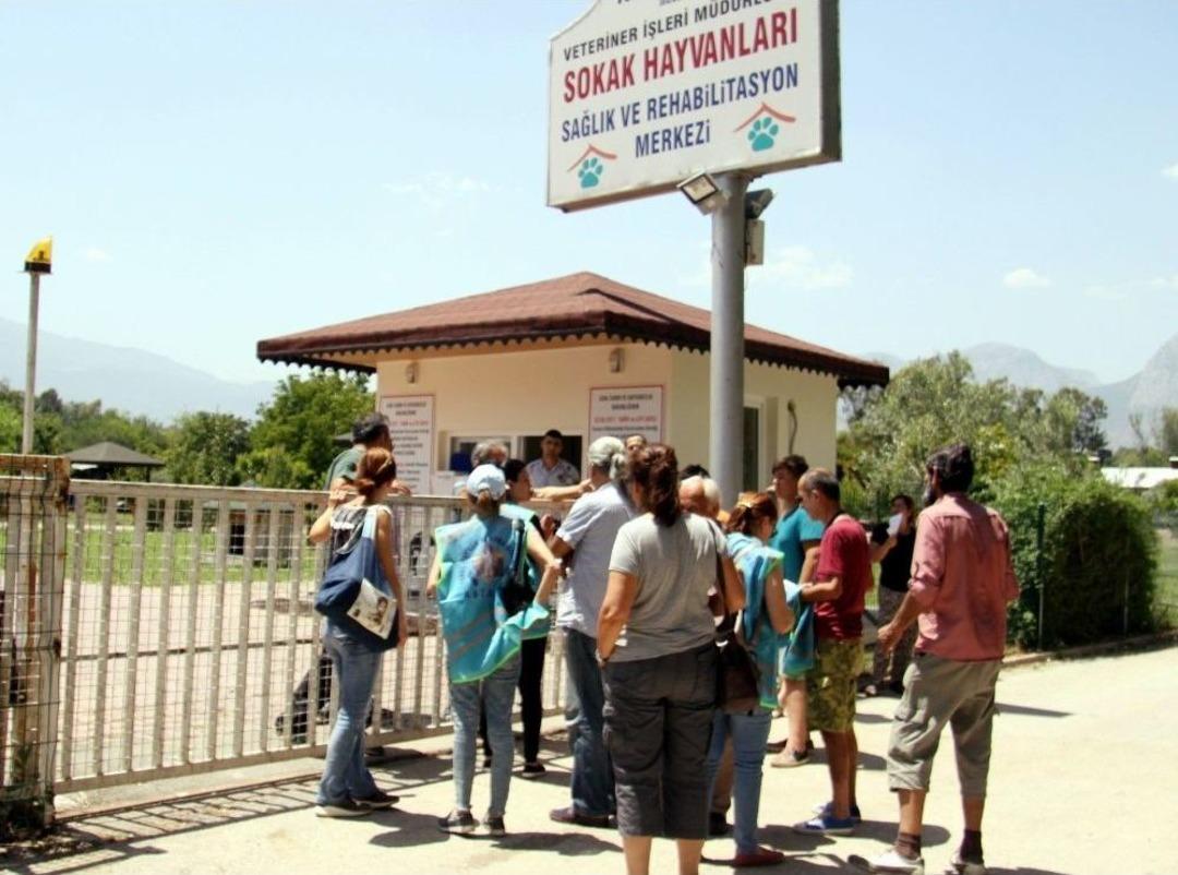 Antalya&rsquo;da Hayvanseverlerin Tepkisini &Ccedil;eken G&ouml;r&uuml;nt&uuml;