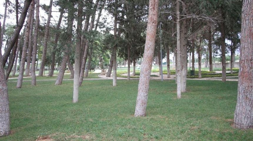 T&uuml;rkiye&rsquo;nin 241. Tabiat Parkı İlan Edildi