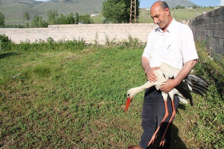 Muhtardan Örnek Davranış G3