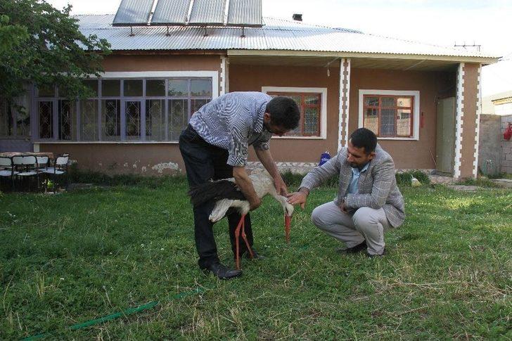 Muhtardan Örnek Davranış G4