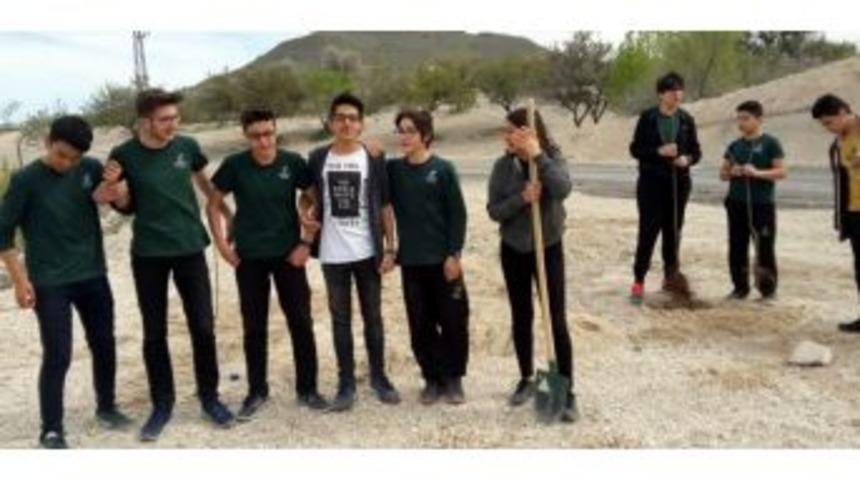 Kardelen Kolejinde Fidanlar Toprakla Buluşuyor