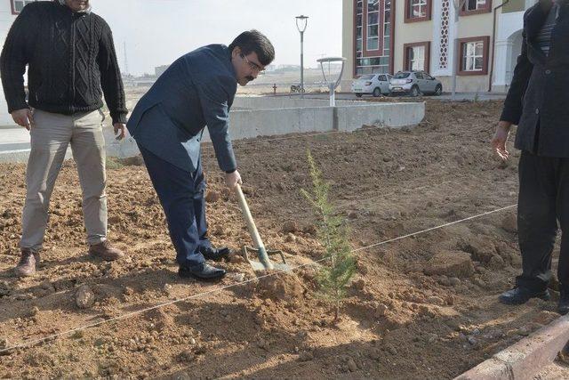 Kmü’nün Yeşil Alanı Artıyor