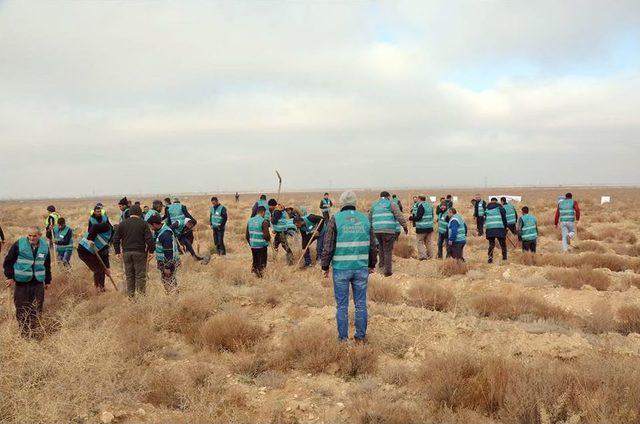 Karaman’da Denetimli Serbestlik Hükümlüleri Fidan Dikti