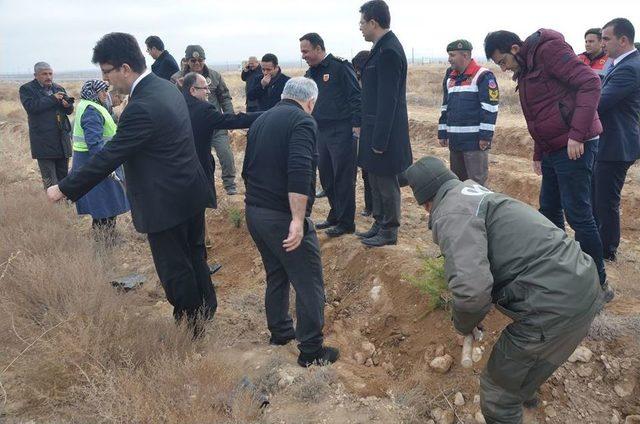 Karaman’da Denetimli Serbestlik Hükümlüleri Fidan Dikti