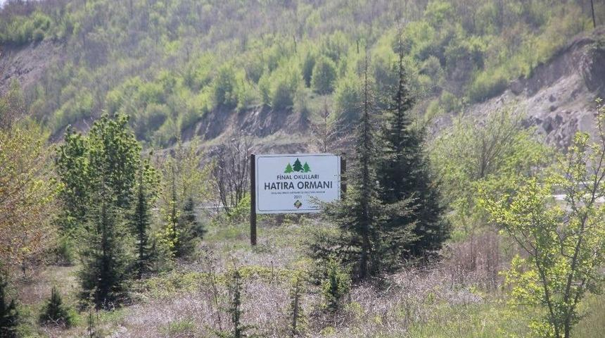 Final Hatıra Ormanı Yeni &Uuml;yelerine Kavuştu