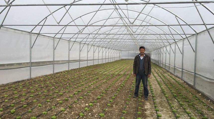 Kırkağa&ccedil;&rsquo;ta Seralarda &Uuml;retim Başladı