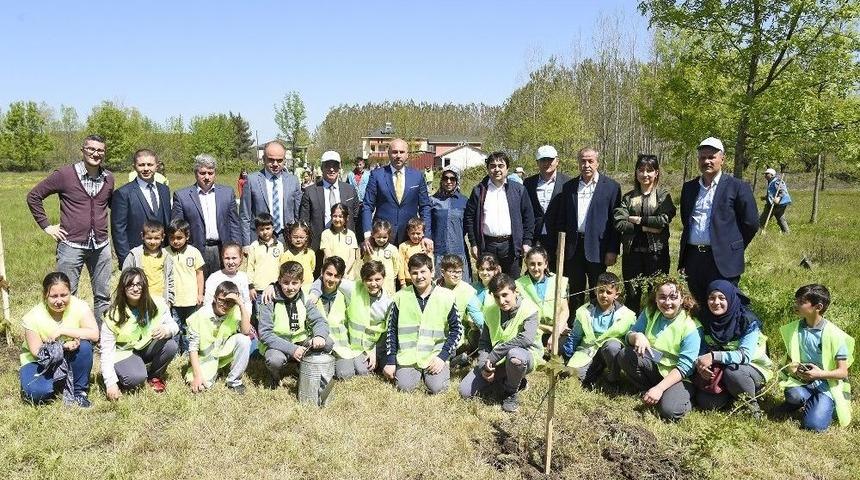 Tekkek&ouml;y Yeşille B&uuml;t&uuml;nleşti