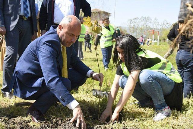 Tekkek&ouml;y Yeşille B&uuml;t&uuml;nleşti 1