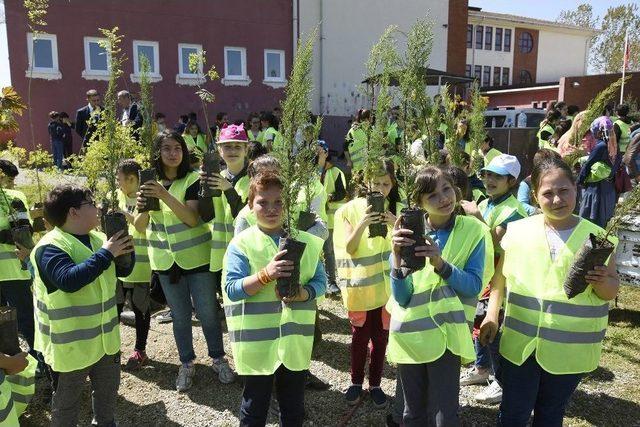 Tekkek&ouml;y Yeşille B&uuml;t&uuml;nleşti 2