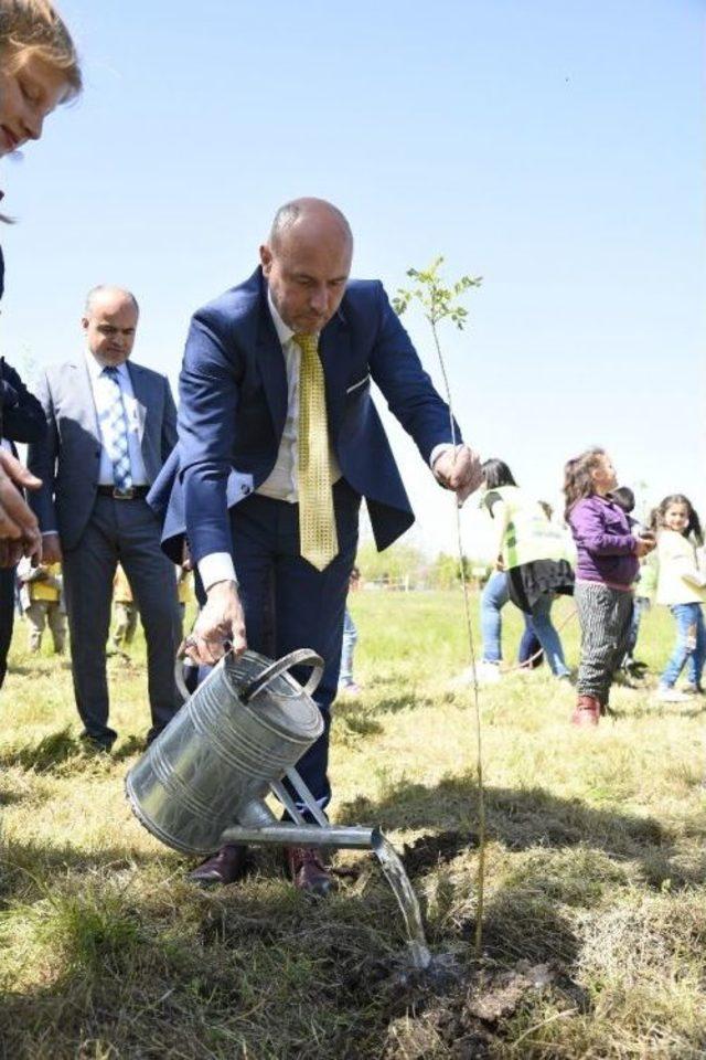 Tekkek&ouml;y Yeşille B&uuml;t&uuml;nleşti 3