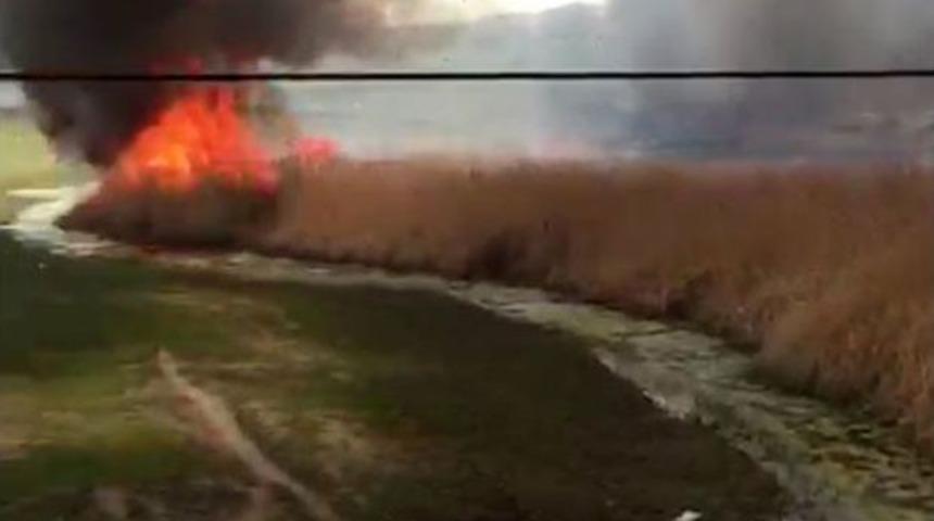 Van&rsquo;da Hayvan Neslini Tehlikeye Sokan Yangın