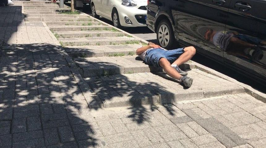 (&ouml;zel) İstanbul&rsquo;da Bonzai Manzaraları Kamerada