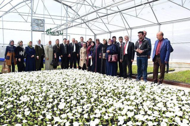 İpekyolu Belediyesinden Çiçek Üretim Serası