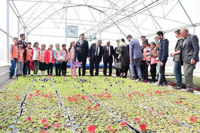 İpekyolu Belediyesinden Çiçek Üretim Serası