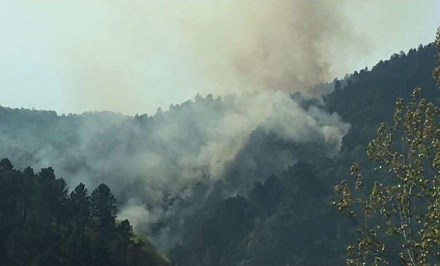 Ordu&rsquo;da Ormanlık Alanda &Ouml;rt&uuml; Yangını 1