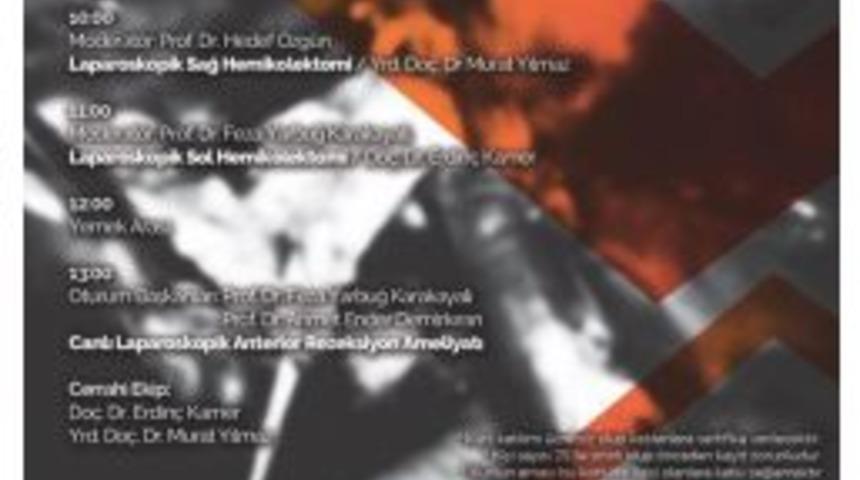 Aydın&rsquo;da Laparoskopik Kolon Cerrahisi &Ccedil;alıştayı Yapılacak