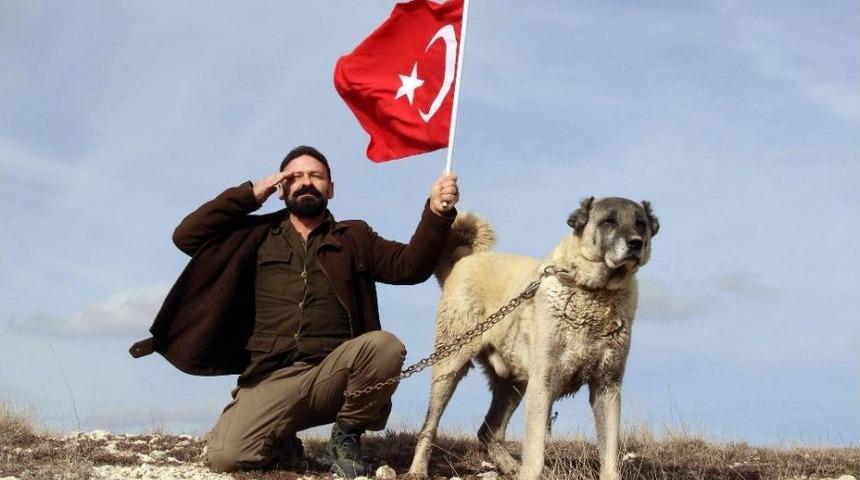 T&uuml;rk Kangalı, Abd&rsquo;nin Aslanına Karşı