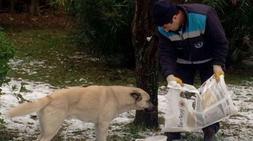 Sokak Hayvanlarına 4 Ton Yem