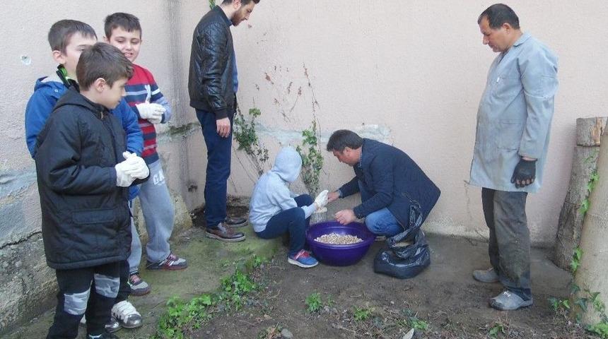 &Ouml;zel &Ouml;ğrencilerden Mantarın Yolculuğu &Ccedil;alışması