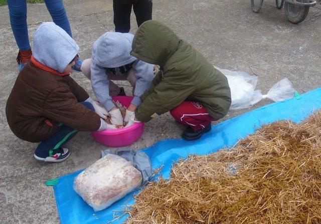 Özel Öğrencilerden Mantarın Yolculuğu Çalışması