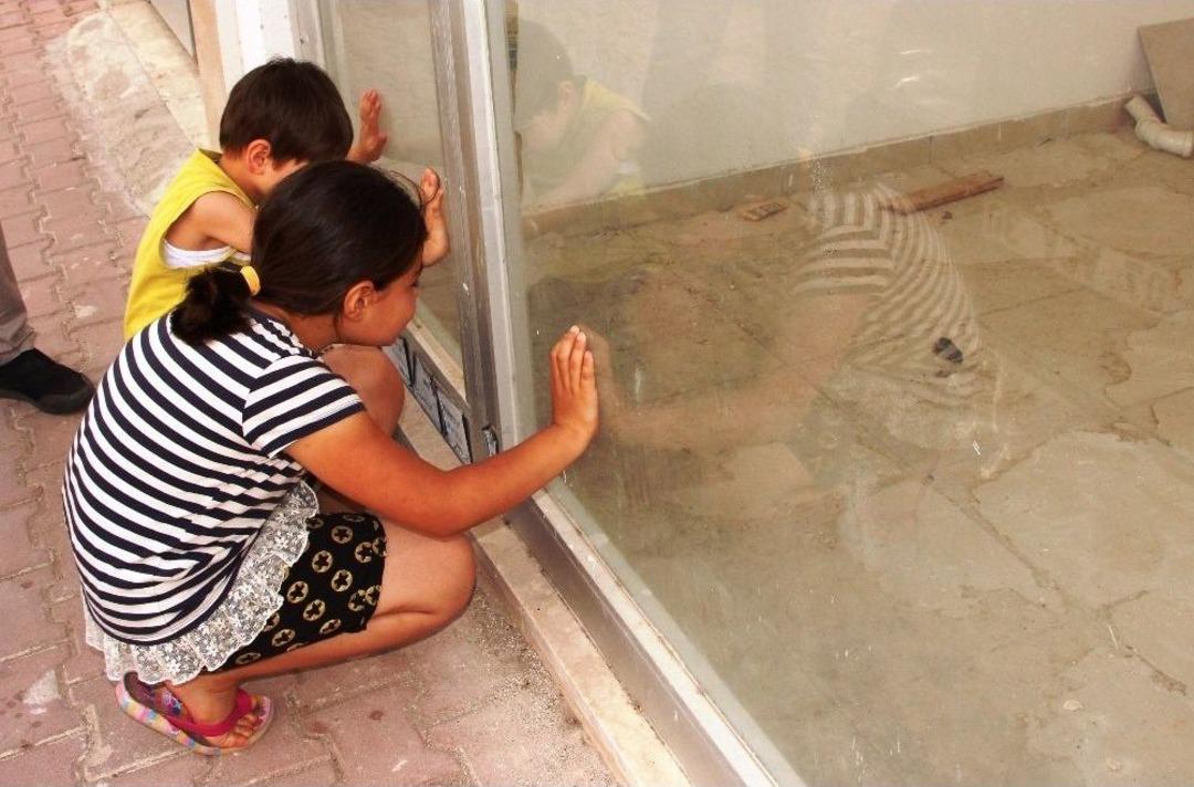 &Ouml;lmek &Uuml;zere Olan Kuşu, K&uuml;&ccedil;&uuml;k İrem Kurtardı