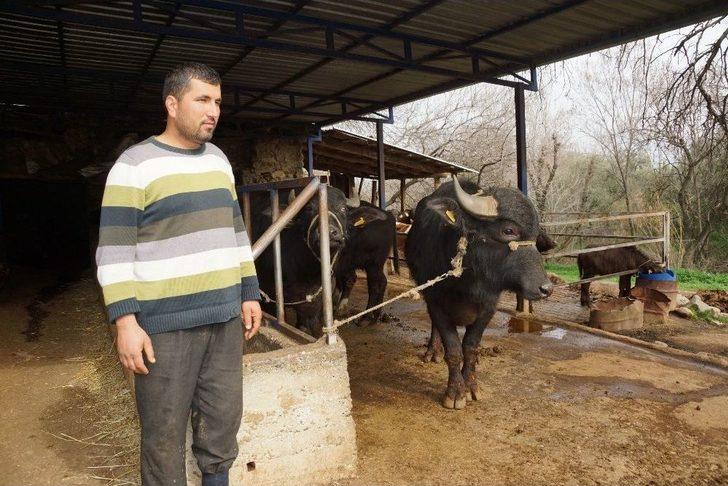 Bakımı Zor, Kaymağı Kıymetli G5
