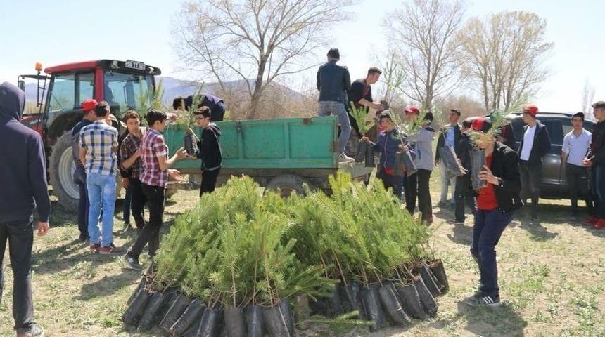 Seninde Bir Dikili Fidanın Olsun