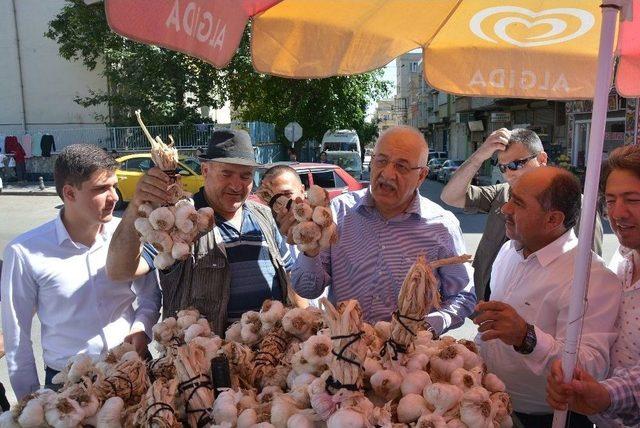 Milletvekili Erdoğan’dan Ünü Gaziantep Sınırlarını Aşan Sarımsak İçin Destek Sözü